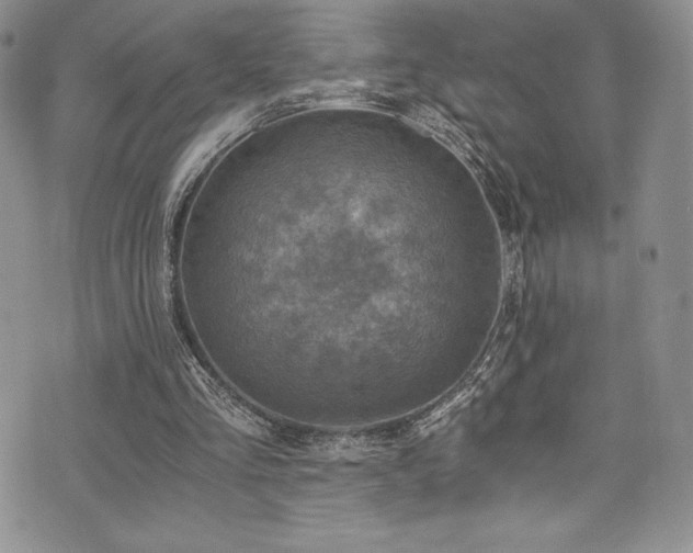 X0000073860293200608101257