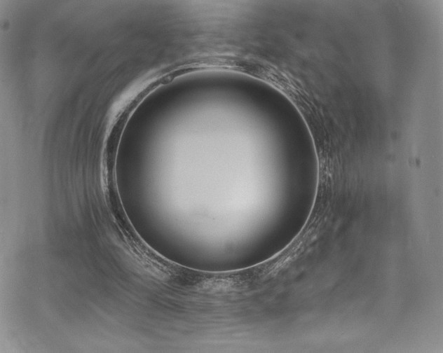 X0000073860294200608101257