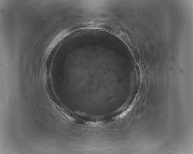 X0000073860295200608101257