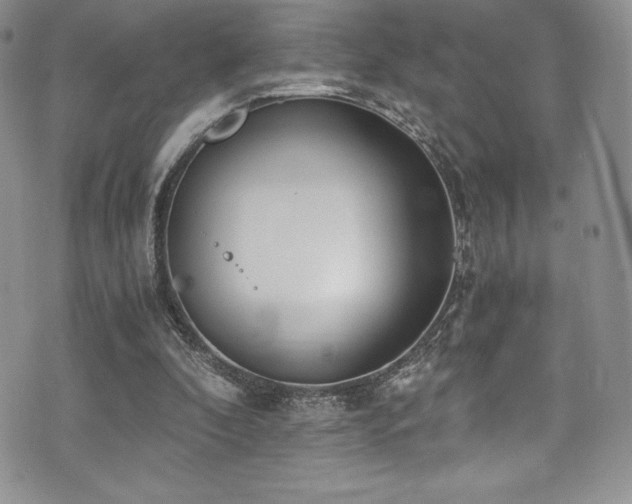 X0000073860296200608101257