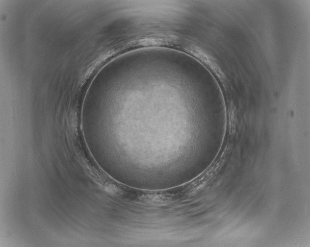 X0000073860297200608101257