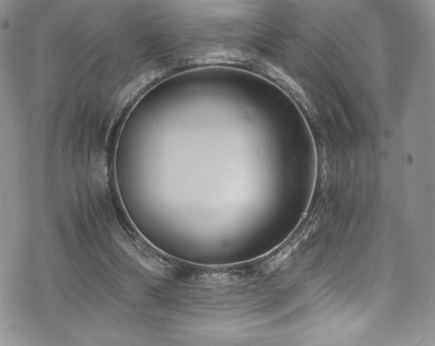 X0000073860298200608101257