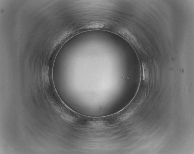 X0000073860300200608101257