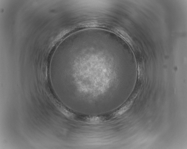 X0000073860301200608101257