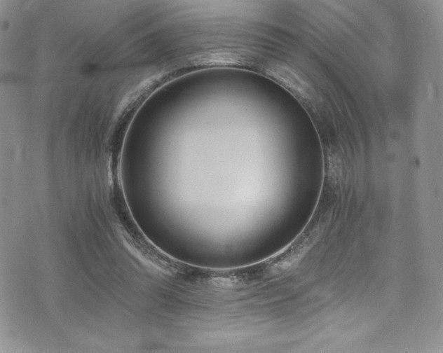 X0000073860302200608101257