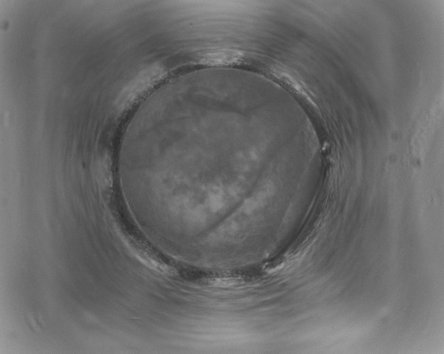 X0000073860303200608101257