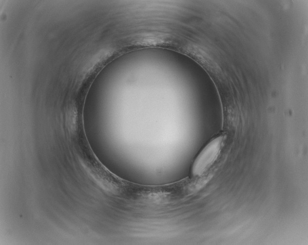 X0000073860304200608101257