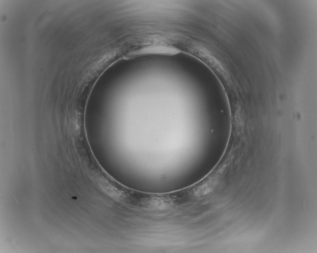 X0000073860305200608101257