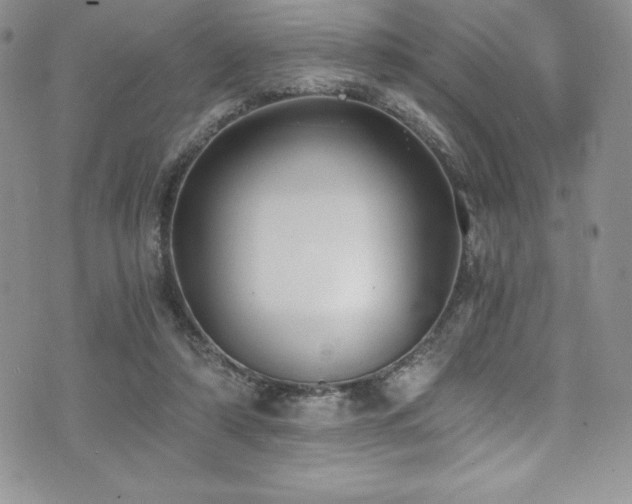 X0000073860306200608101257