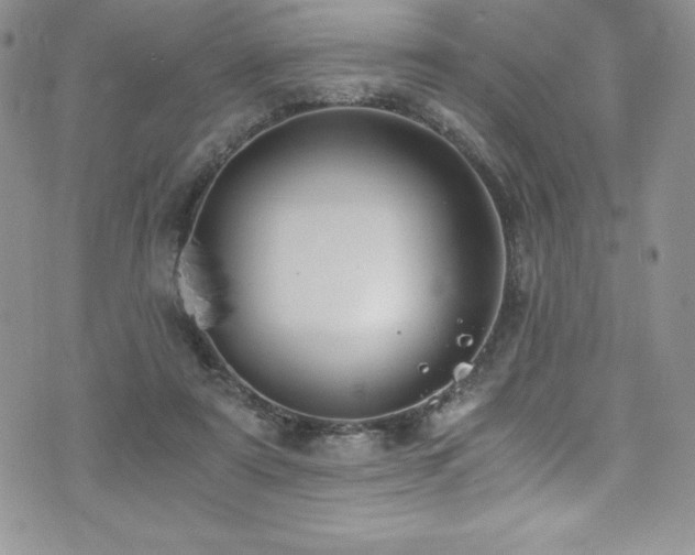 X0000073860307200608101257