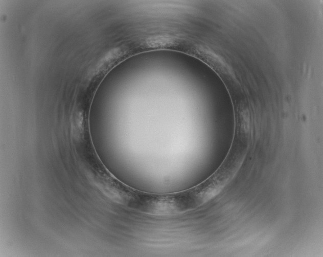 X0000073860308200608101257