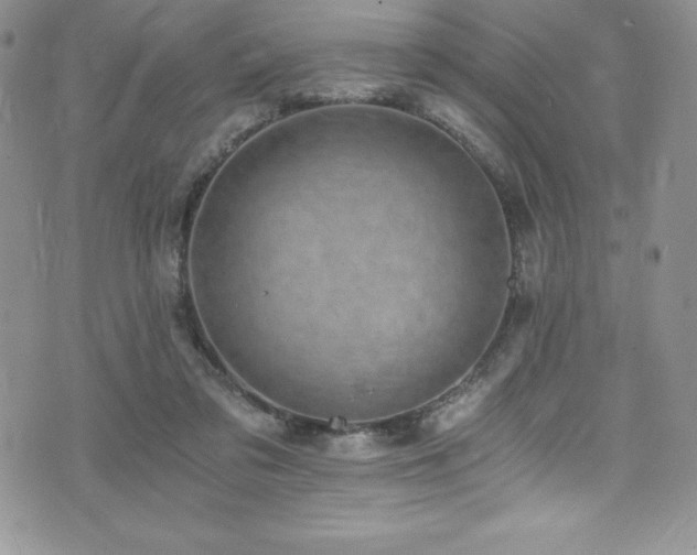 X0000073860309200608101257