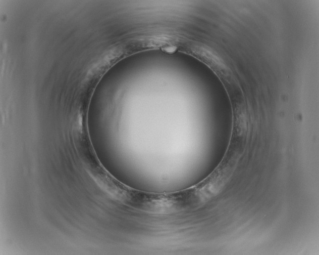 X0000073860310200608101257