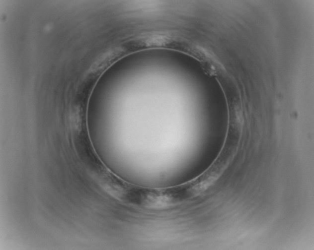 X0000073860311200608101257