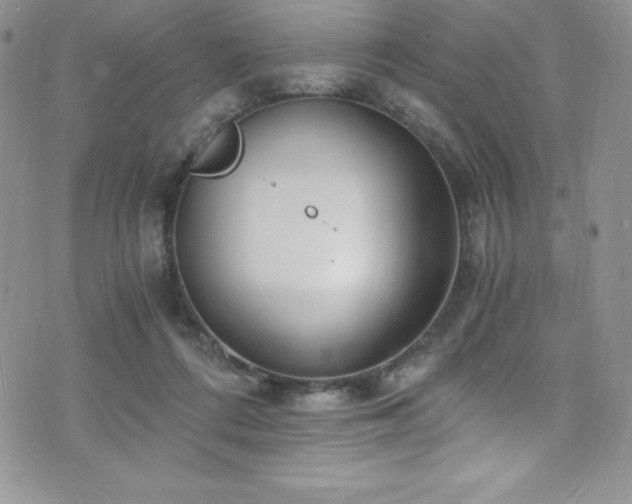 X0000073860312200608101257