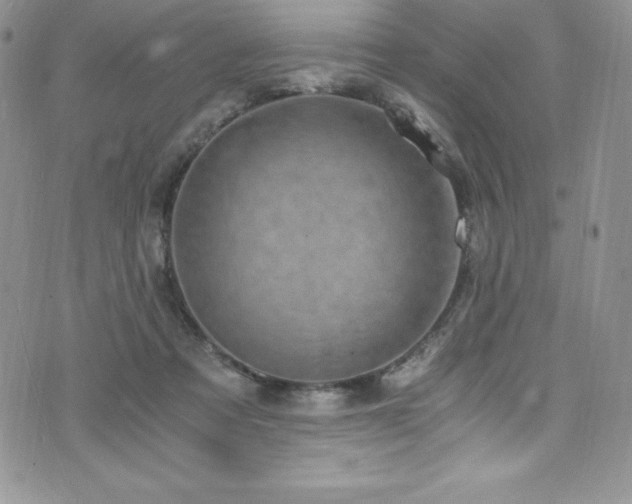 X0000073860313200608101257