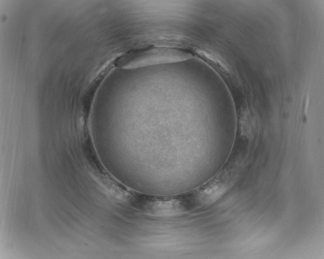 X0000073860314200608101257