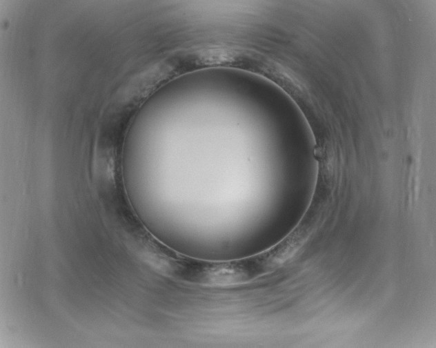 X0000073860315200608101257