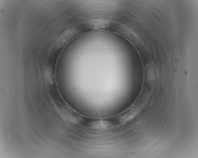 X0000073860316200608101257