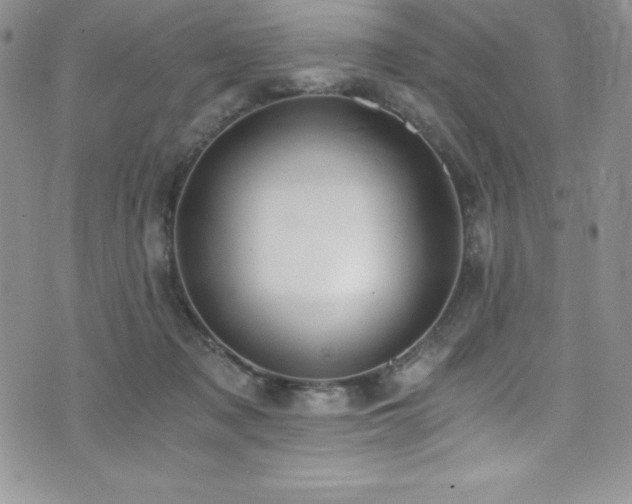 X0000073860317200608101257