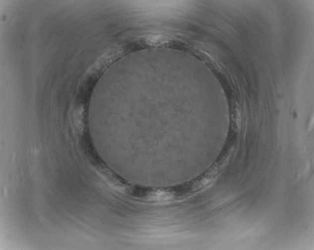 X0000073860319200608101257