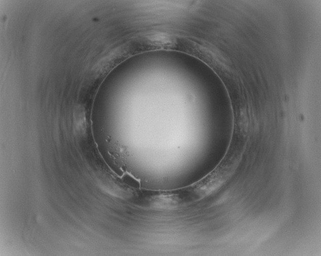 X0000073860320200608101257