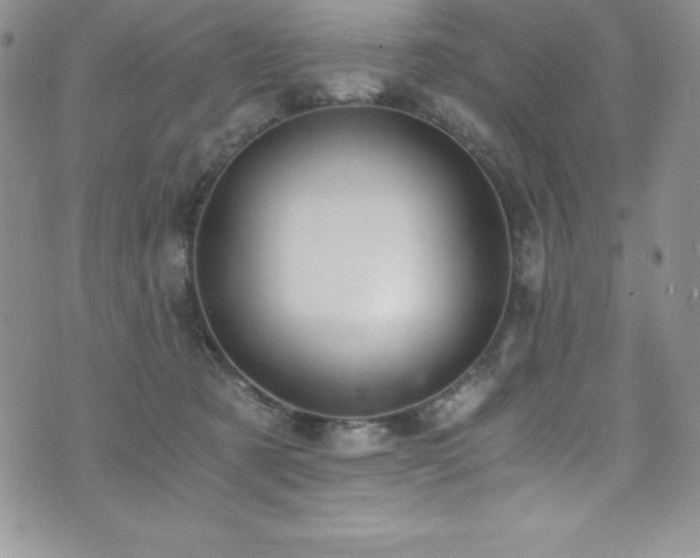 X0000073860321200608101257