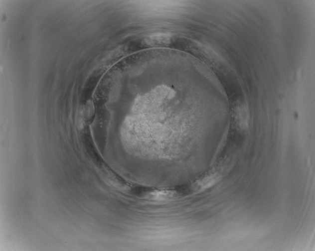 X0000073860323200608101257