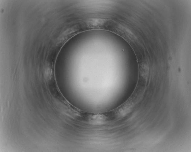 X0000073860324200608101257