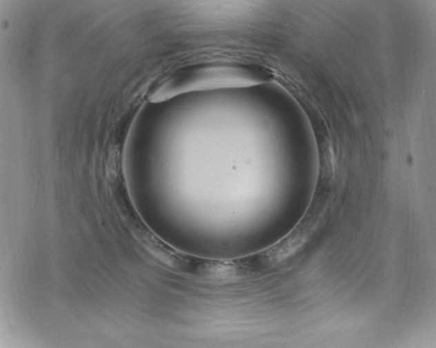 X0000073860325200608101257