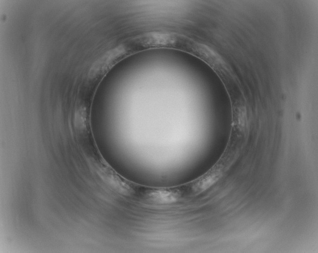 X0000073860326200608101257