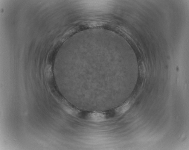 X0000073860327200608101257