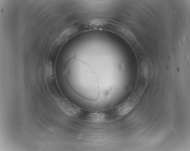 X0000073860328200608101257