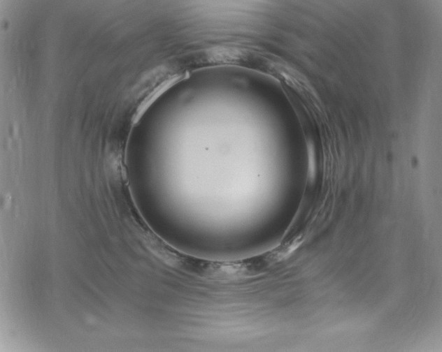 X0000073860329200608101257