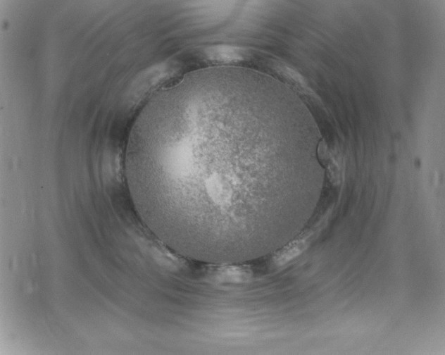 X0000073860330200608101257