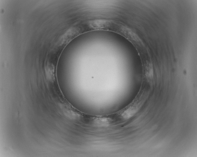 X0000073860332200608101257