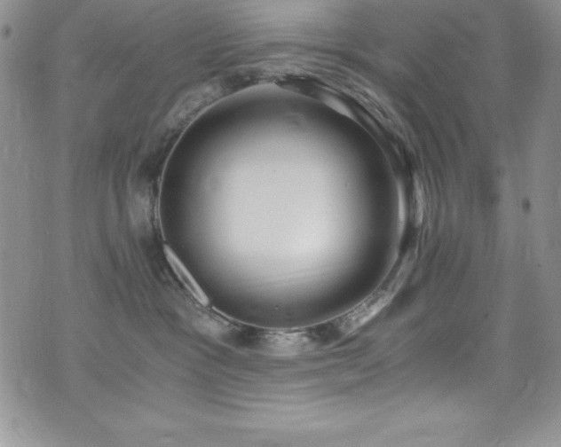 X0000073860333200608101257