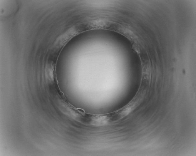 X0000073860334200608101257