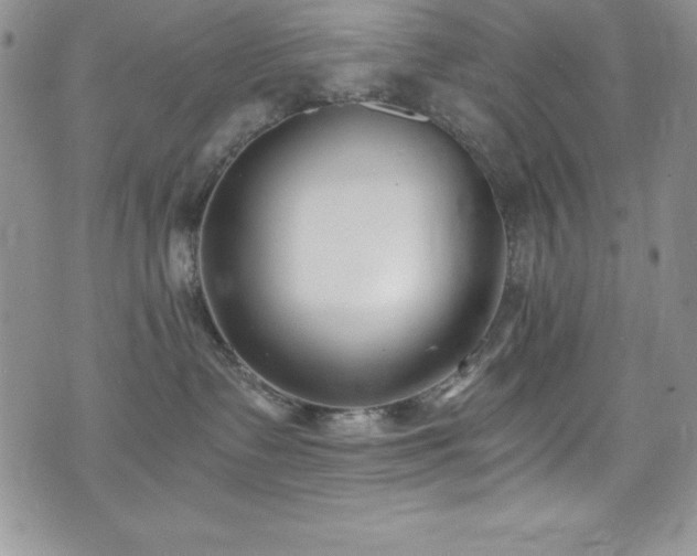 X0000073860335200608101257