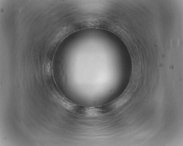 X0000073860336200608101257