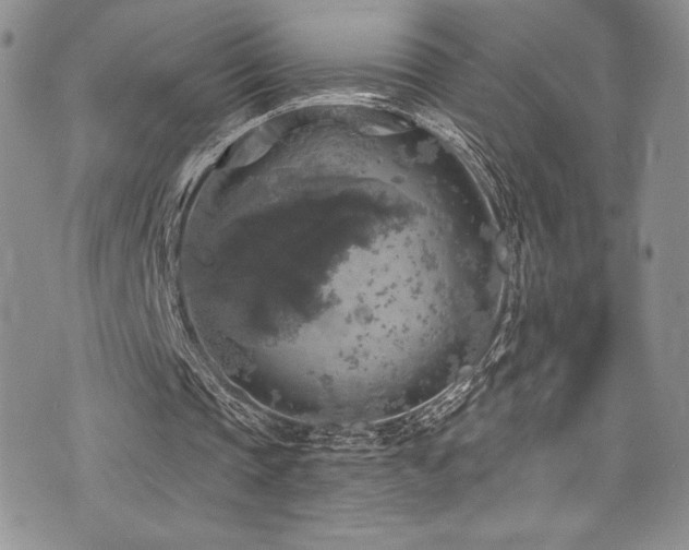 X0000073860337200608101256