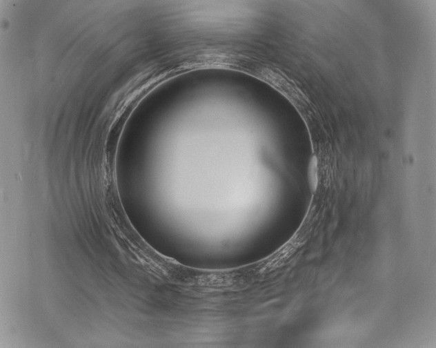 X0000073860338200608101256