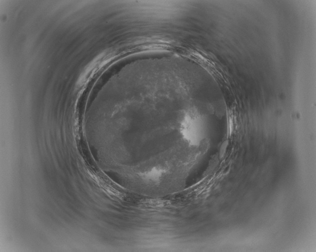 X0000073860339200608101256