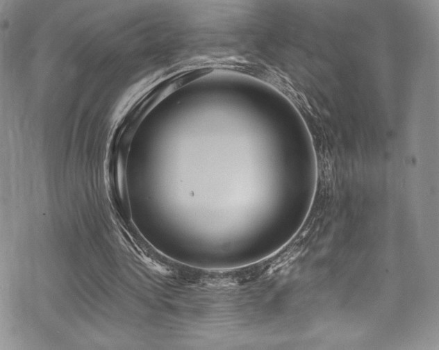 X0000073860340200608101256