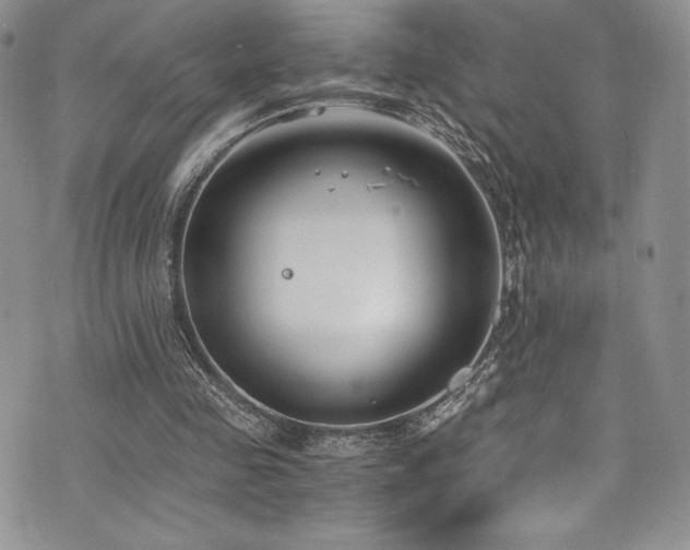 X0000073860341200608101256