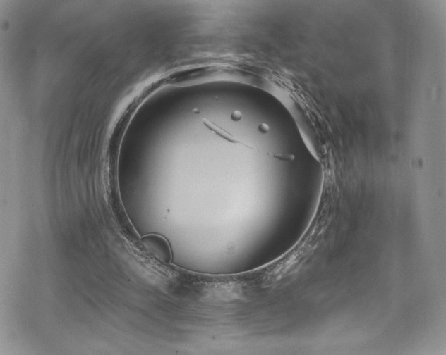 X0000073860342200608101256