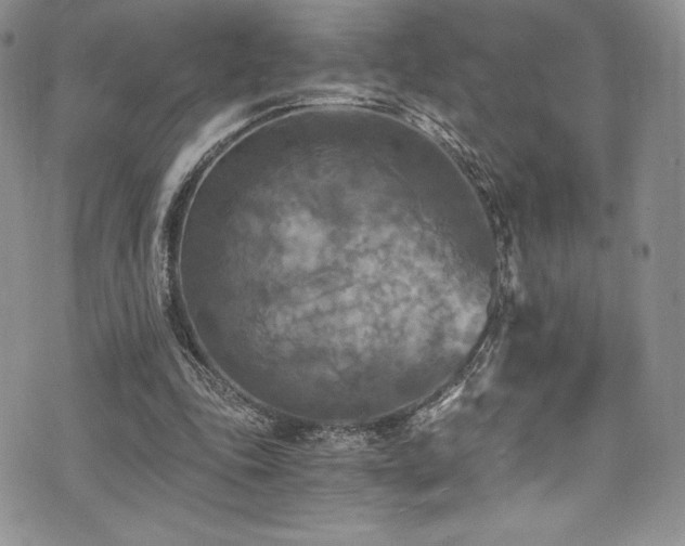 X0000073860343200608101256