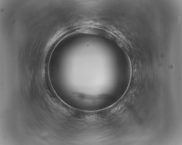 X0000073860344200608101256