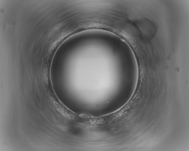 X0000073860345200608101256