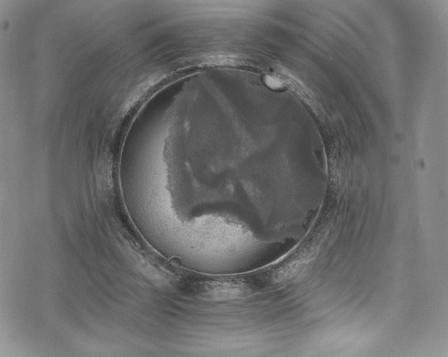 X0000073860347200608101256